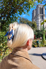 Hand-painted Swallow Bird Claw Hair Clip