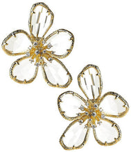 Lisi Lerch - Sonja -  WS: Clear