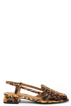 Monty flat by Cecelia New York in metallic gold leopard with slingback strap