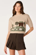 Pleated High-Rise Mini Shorts, Brown
