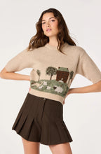 Pleated High-Rise Mini Shorts, Brown
