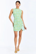 Mestiza New York Loverde Fit-and-Flare Mini Dress - Full front view showing mini length and trellis verte print