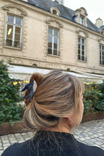Hand-painted Swallow Bird Claw Hair Clip