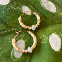 Gold Disk Hoop