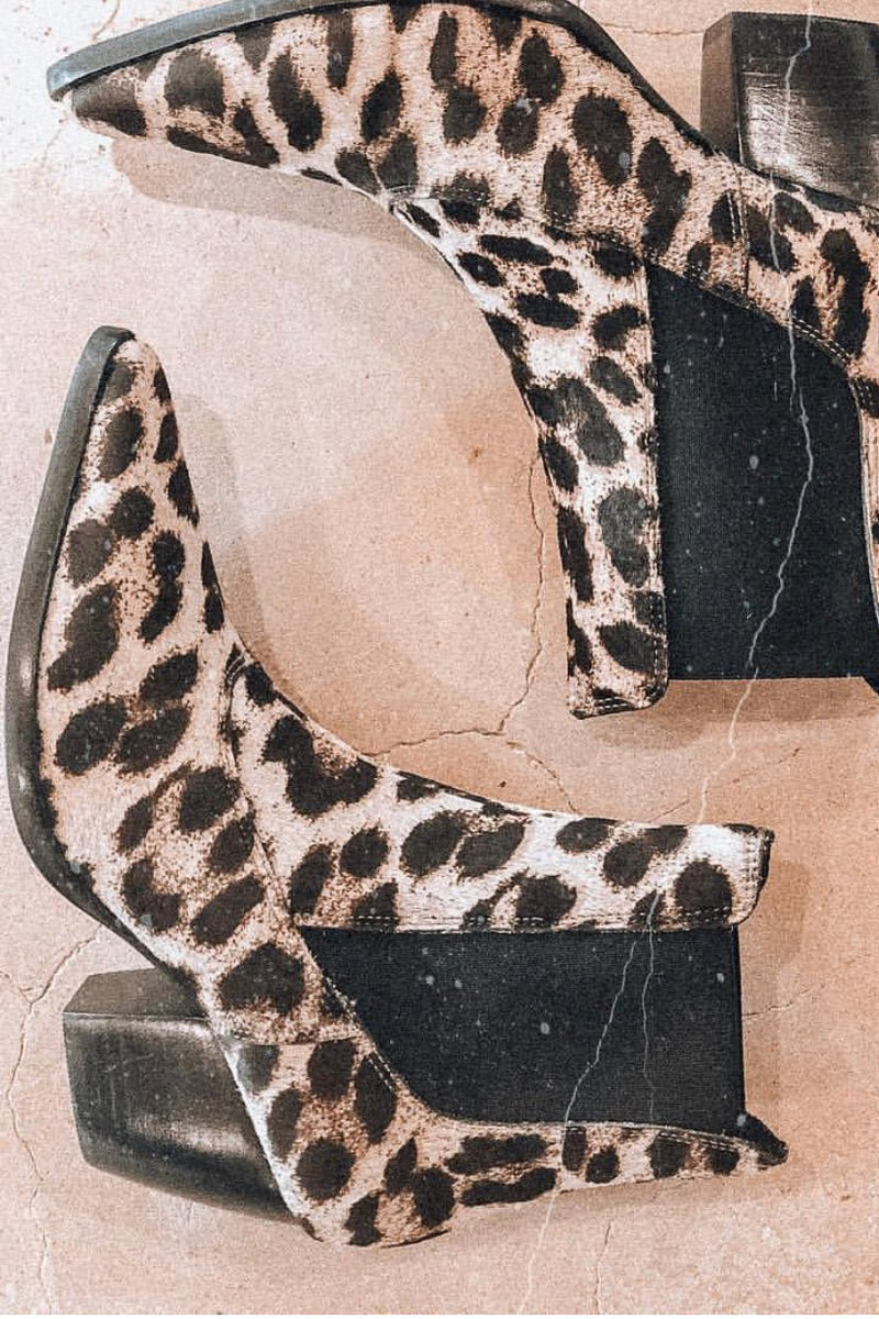 Golden Gate | Matisse