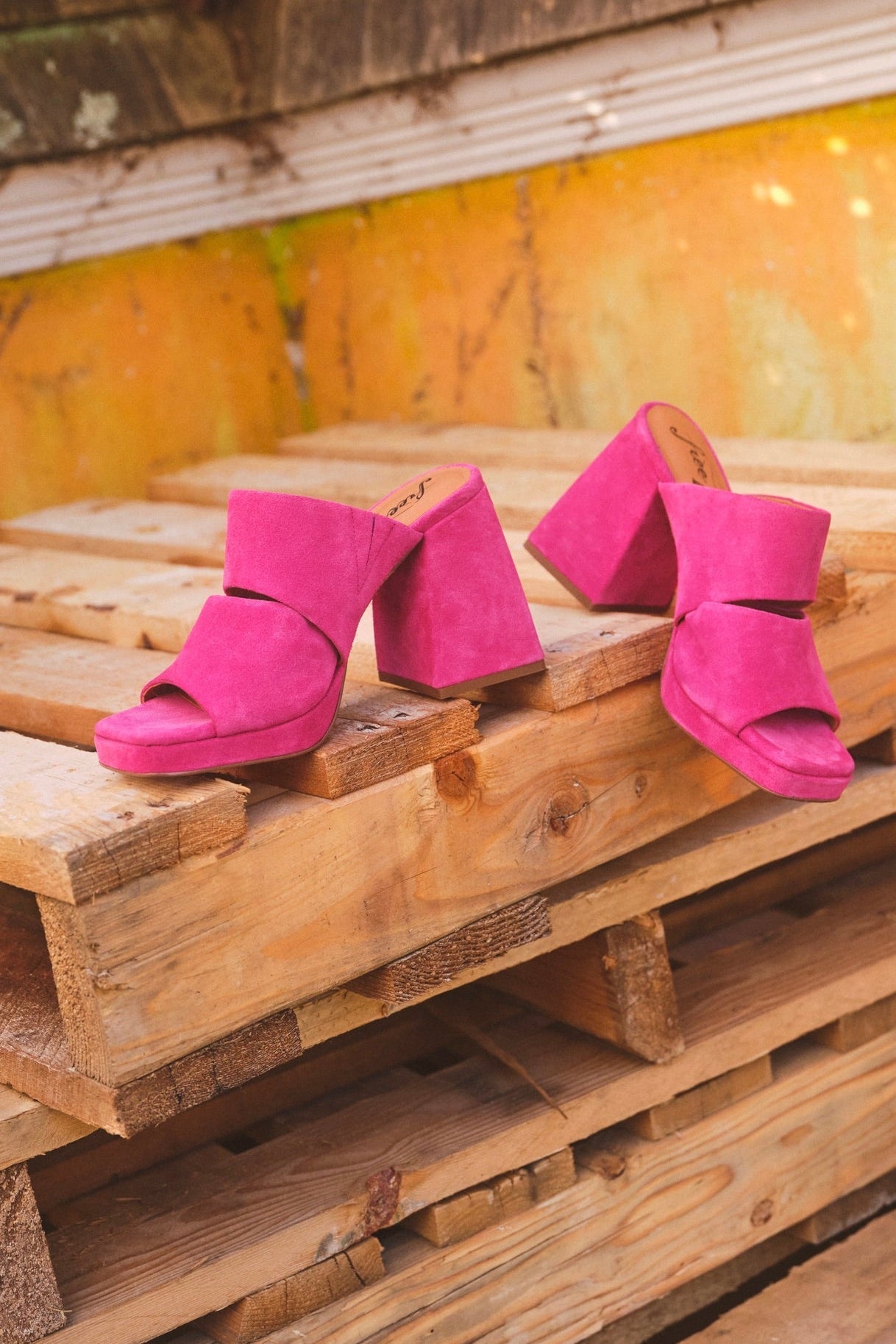 Love Is Everywhere Platform | Fuchsia Fantastic - Bandit and the Babe